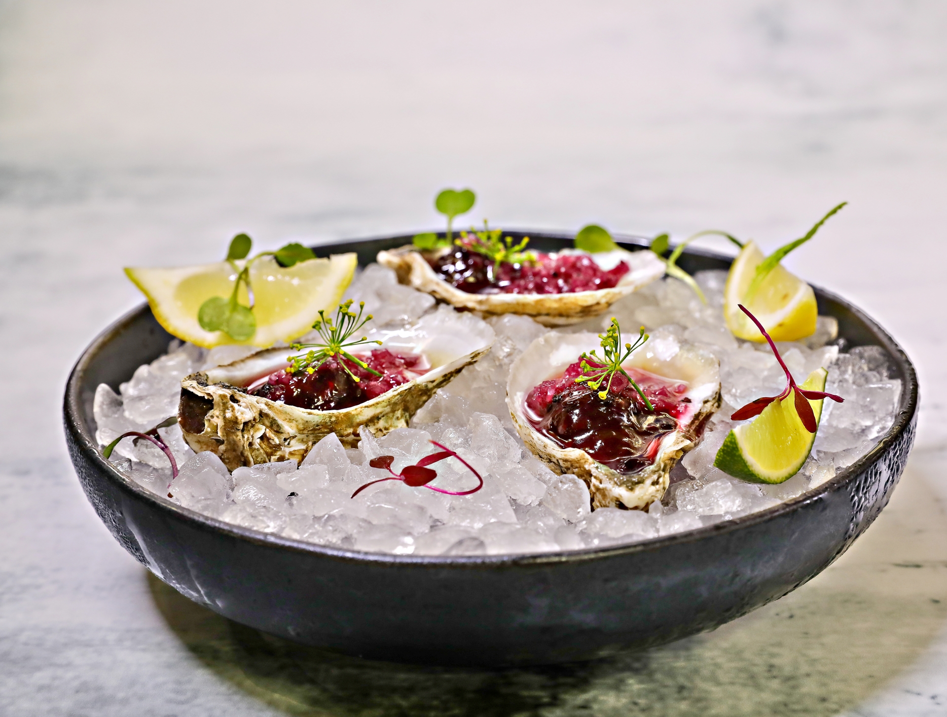 OYSTER