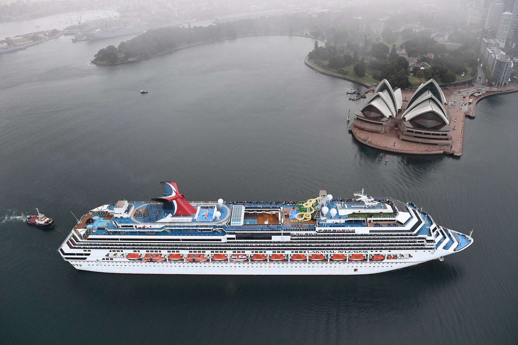 Carnival Splendor Sails Near Sydney Opera House