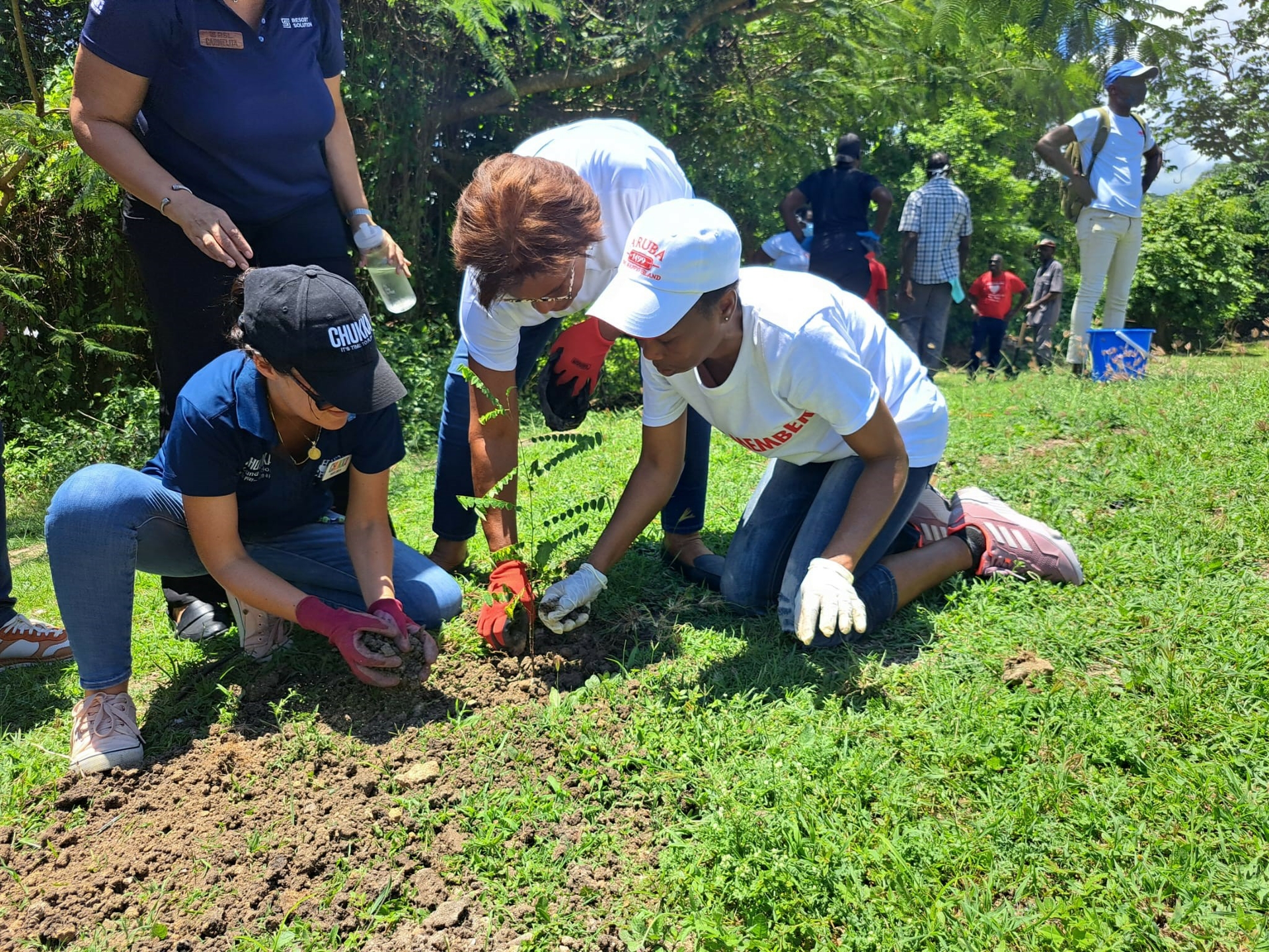 Carnival crew members work in garden