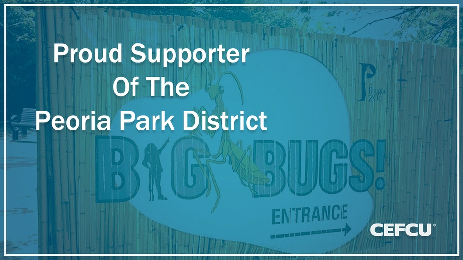 Supporting Peoria Park District thumbnail