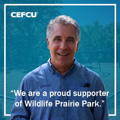Wildlife Prairie Park Playground Dedication thumbnail