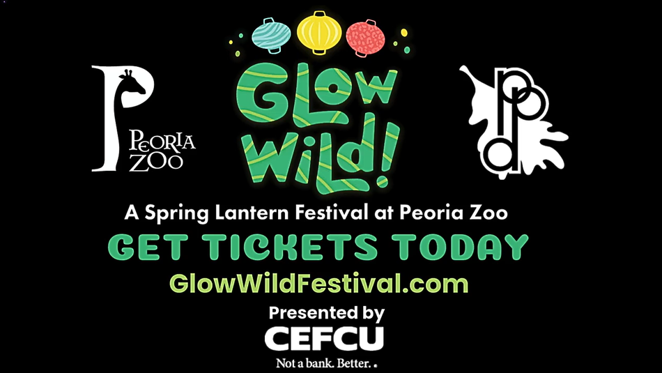 Glow Wild Lantern Festival at Peoria Zoo thumbnail