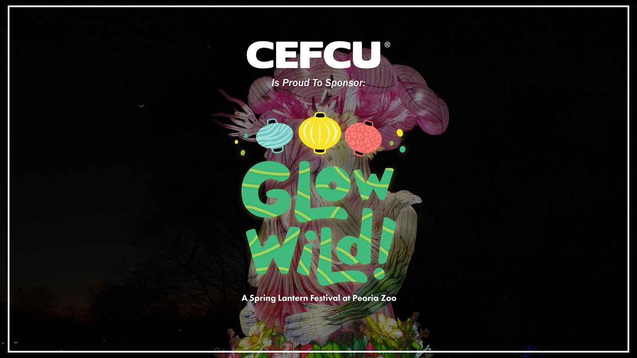 Max Lakes: Glow Wild at the Peoria Zoo thumbnail
