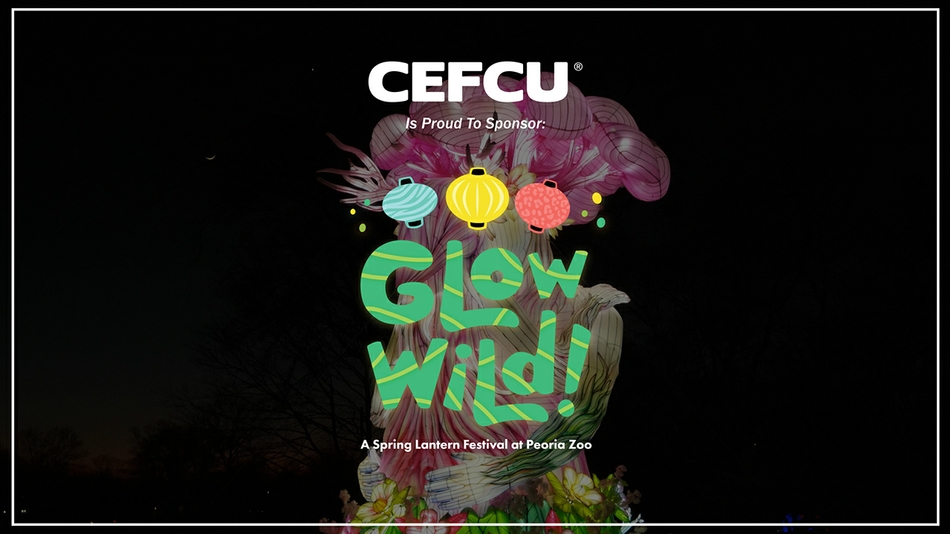 Max Lakes: Glow Wild at the Peoria Zoo thumbnail