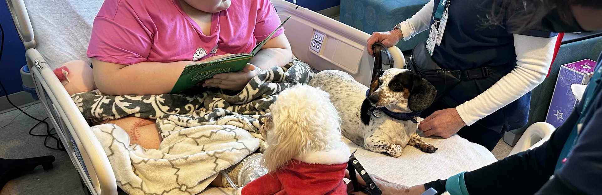 therapy-dogs