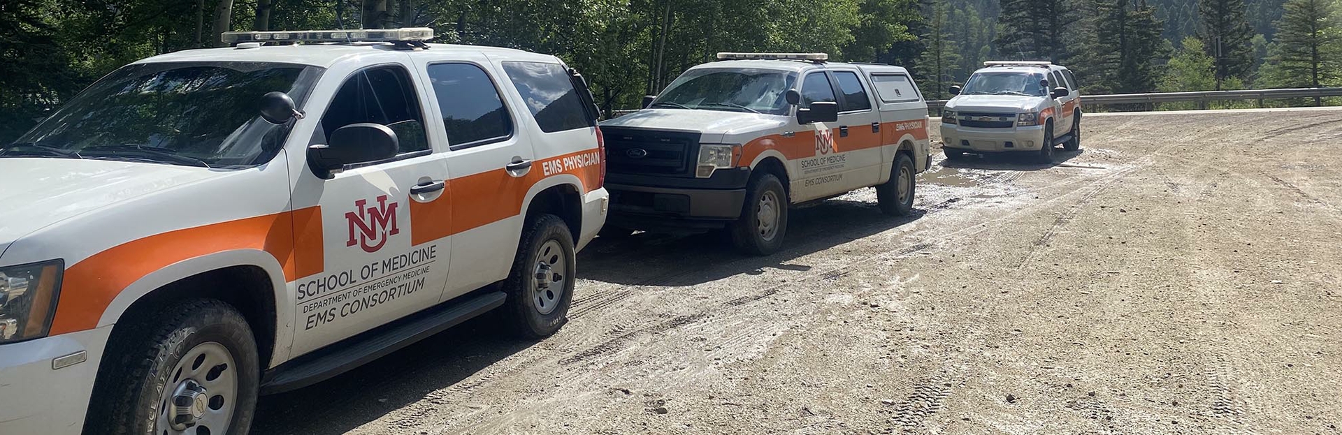 mountain-ems
