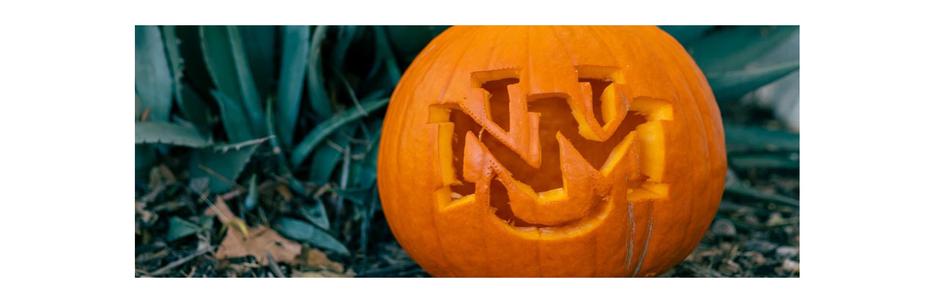jack-o-lantern-banner