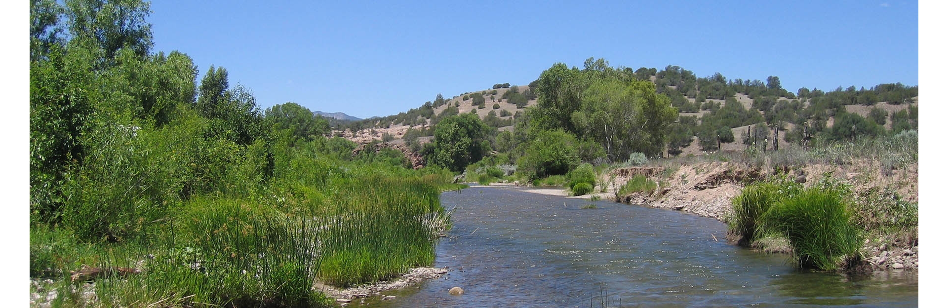 summer-creek-banner