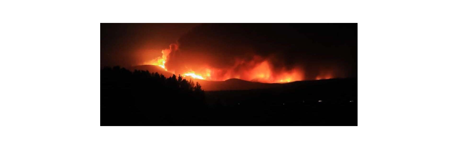 wildfire-night-banner
