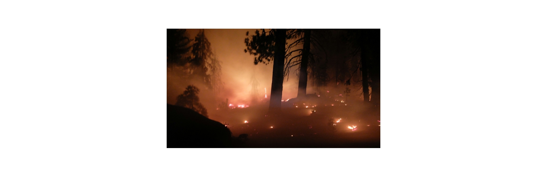 wildfire