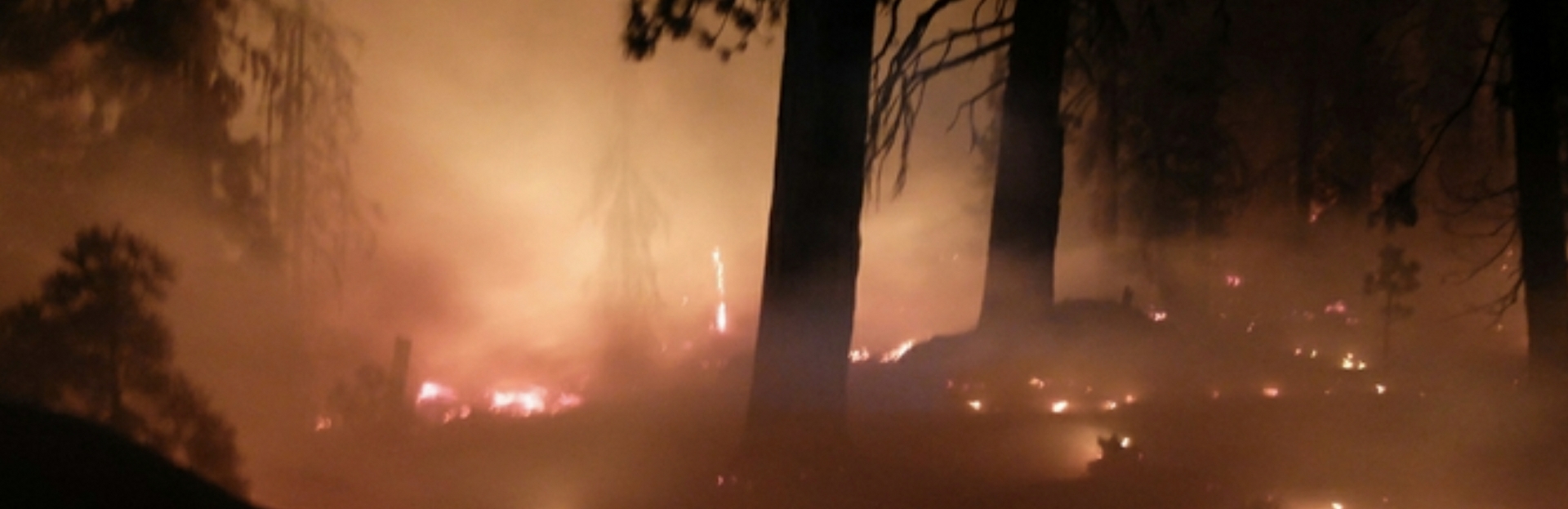 banner-wildfire-impact