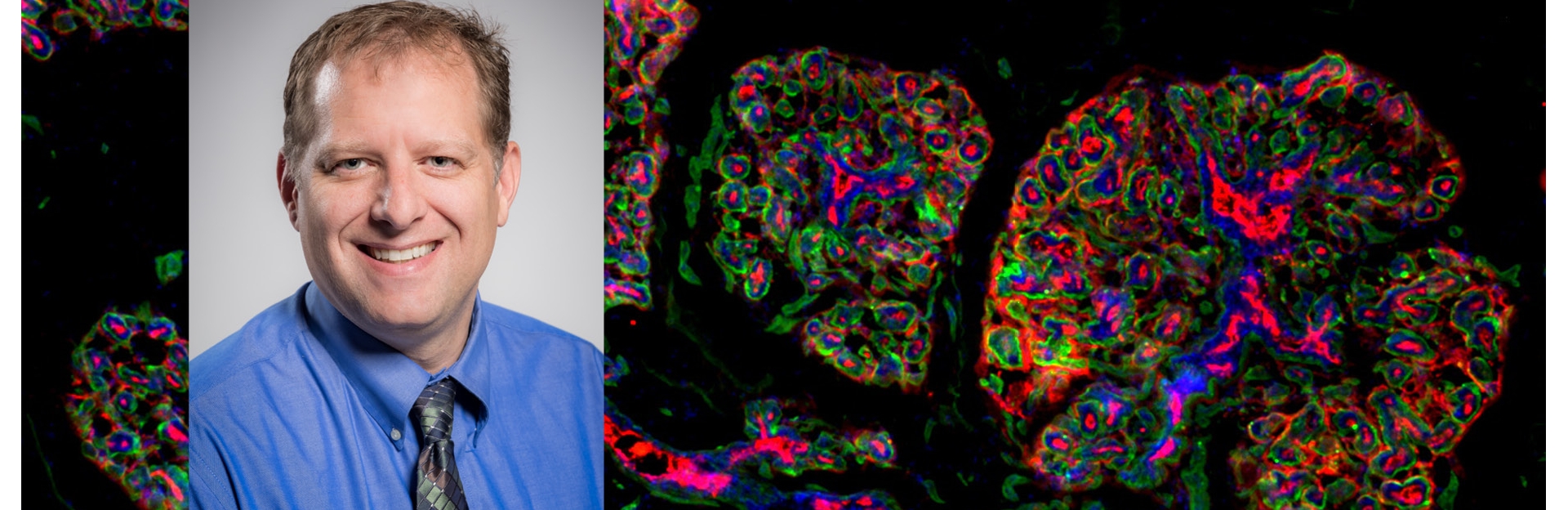 Curt Hines, PhD | UNM Comprehensive Cancer Center