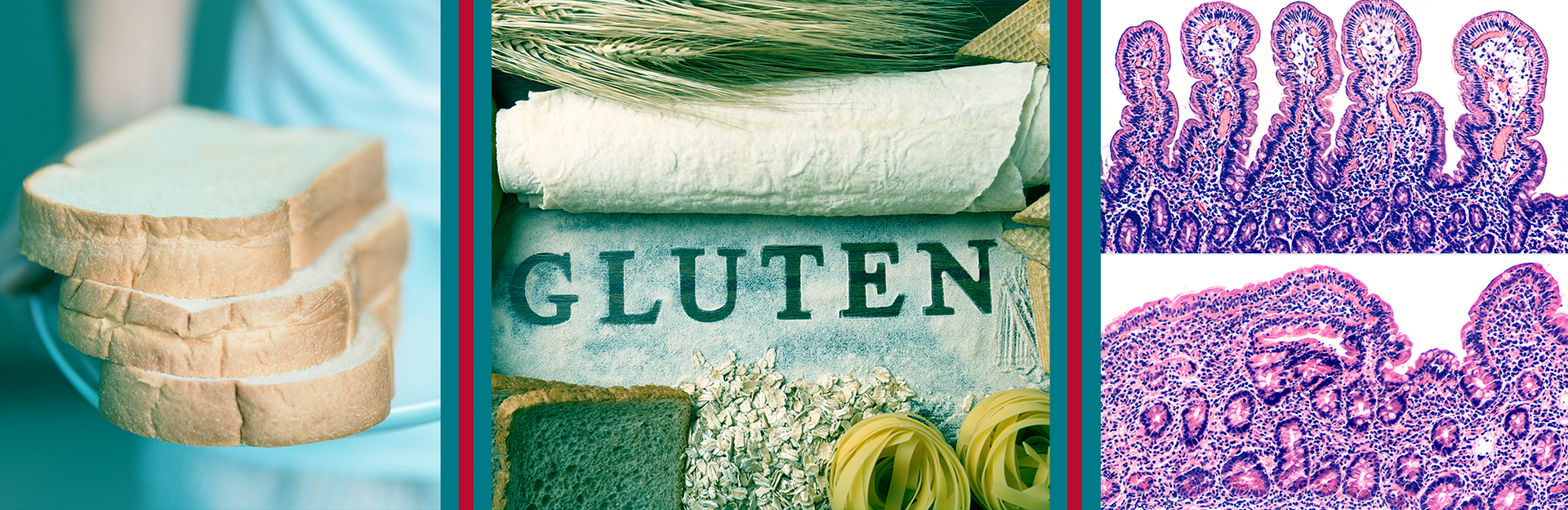 celiac-disease-banner