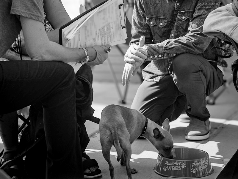 gallery-bw-pets-3