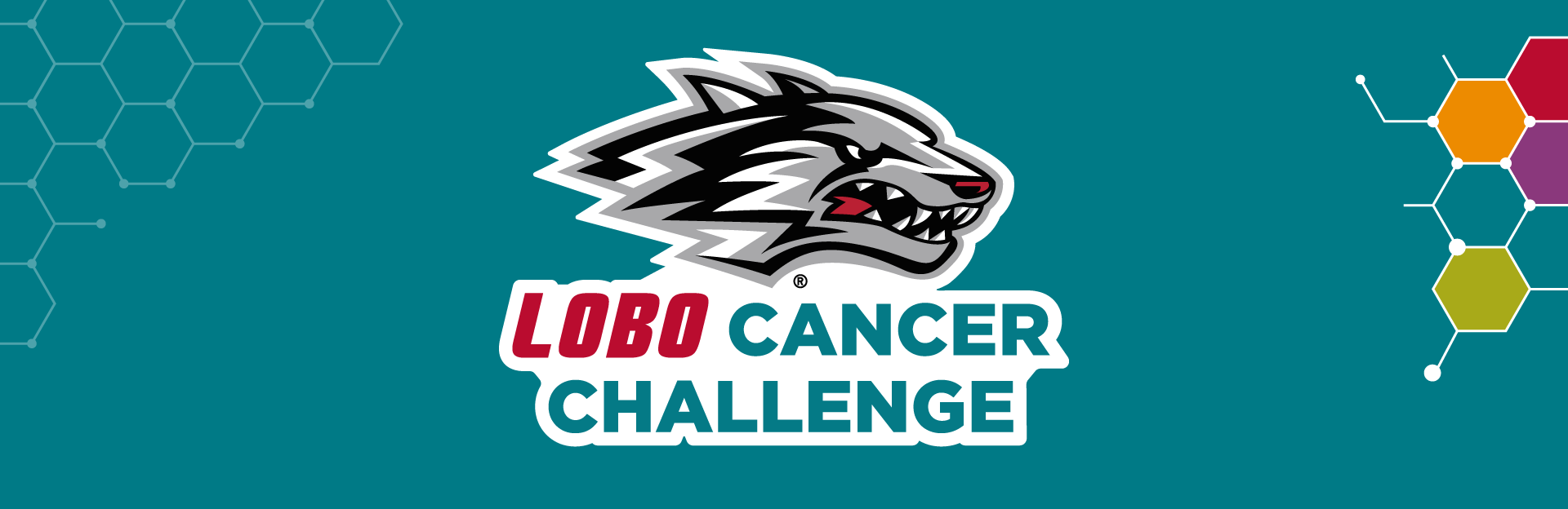 Lob Cancer Challenge - Banner
