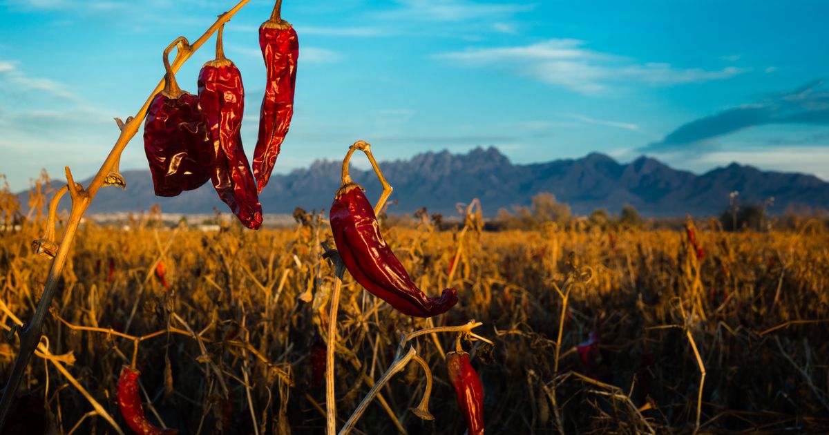 A Growing Demand for Population Health and Well-Being Through Agriculture