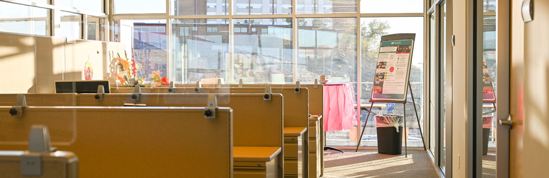 UNM’s TREE Center Featured in National Journal for Transformative Work ...
