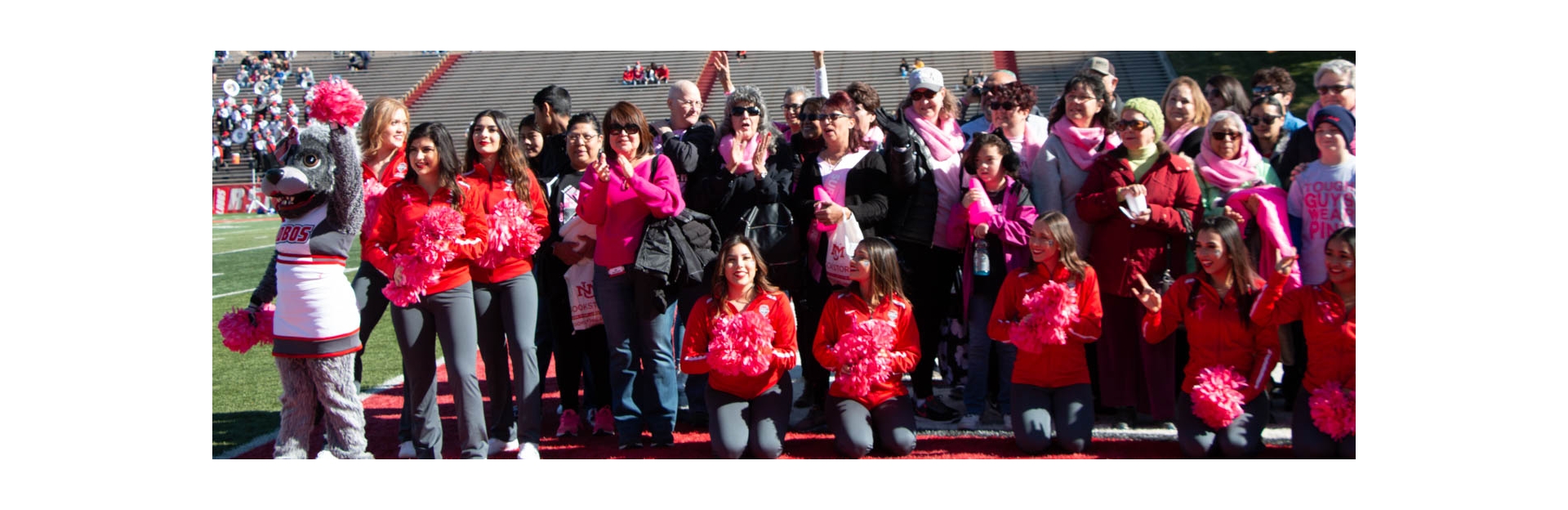 Lobos Love Pink Football | UNM Comprehensive Cancer Center