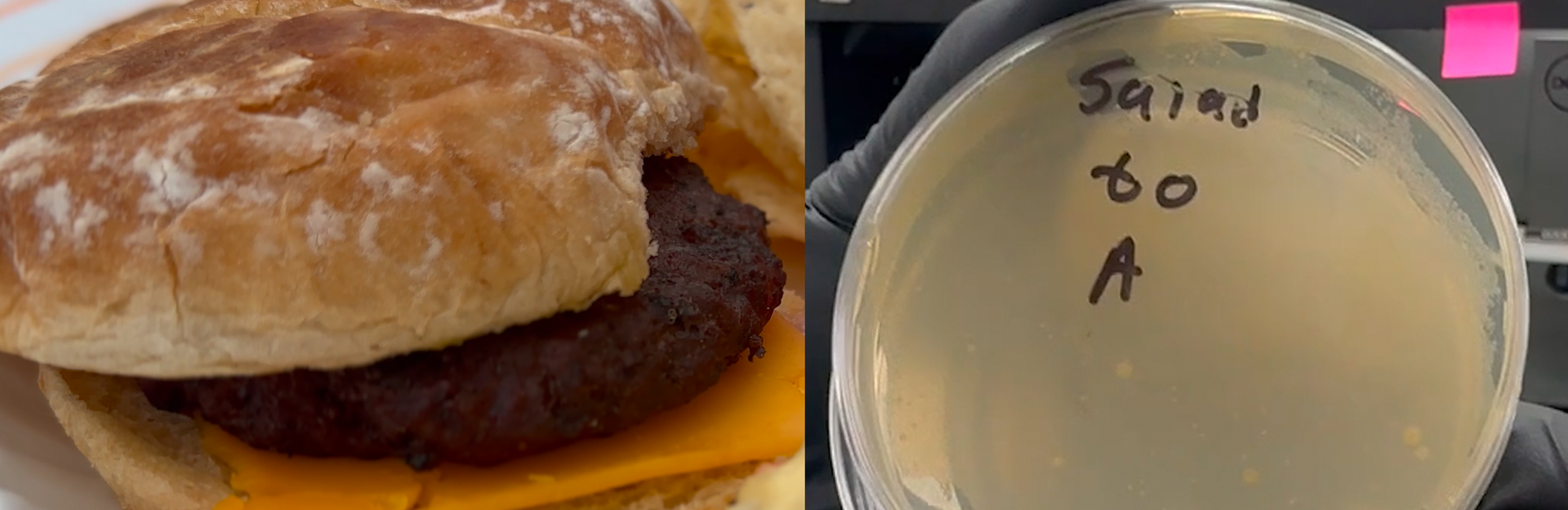 food poisoning thumbnail