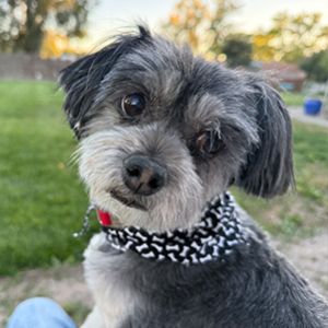 Rabies_IPR Testimonial 300x300_01