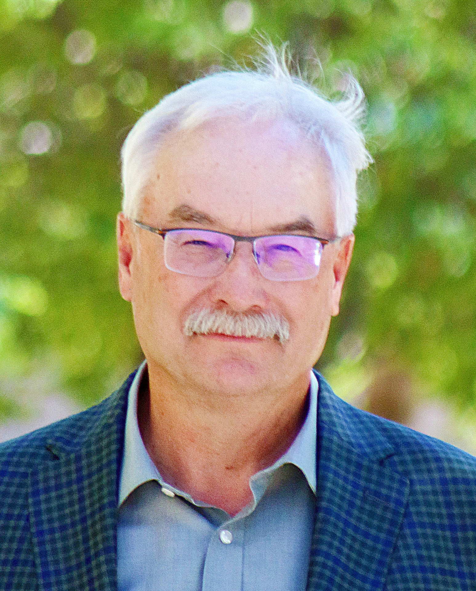 David Low