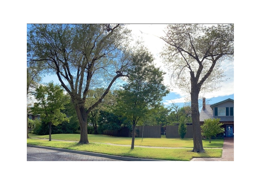 Trees are good for the earth and help lower energy bills