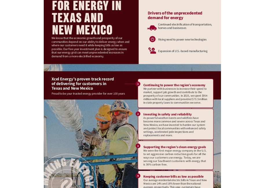 Texas - New Mexico Investment Plan Info Sheet thumbnail