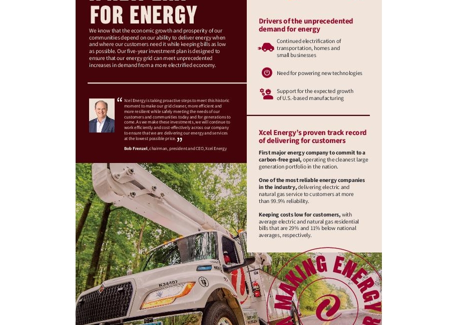 Xcel Energy Investment Plan thumbnail
