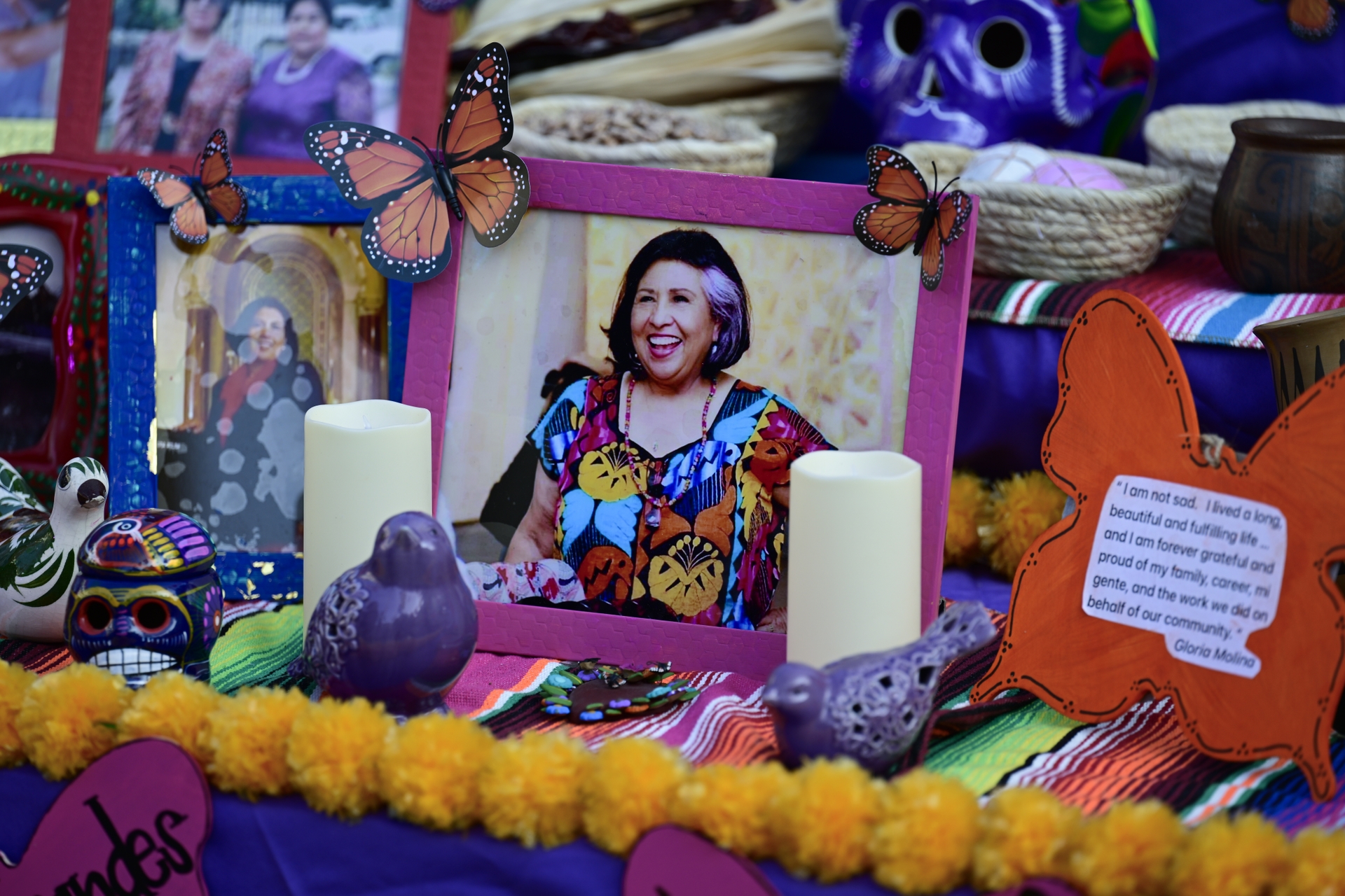 Gloria Molina Grand Park's Downtown Día de los Muertos - Photo by John McCoy for The Music Center - 9058