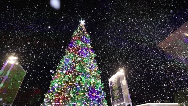 The L.A. County Tree Lighting Ceremony (2025) - Sizzle Reel by Will Yang for The Music Center