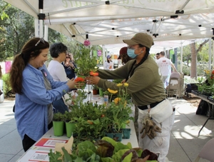 Community Unites to Create a Mini Forest in Los Angeles City Center