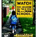 AAASchools Poster English