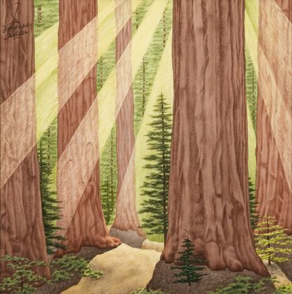 261 Helder Redwoods Seq Pk