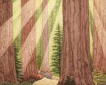 261 Helder Redwoods Seq Pk