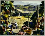 348 Brandt Grape Harvest Napa Valley