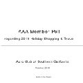 Auto Club 2010 Winter Holiday Travel and Shopping Poll