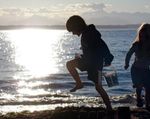 Big Jump Projected For California Travel Over Holiday