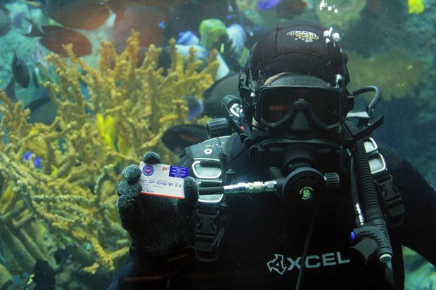 Underwater AAA Card