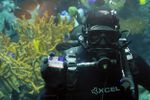Visit New $53 Million Aquarium Of The Pacific Expansion  During Auto Club Member-Only Night On May 24 