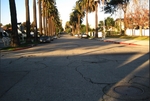 Auto Club Offers Earthquake Tips For Motorists   