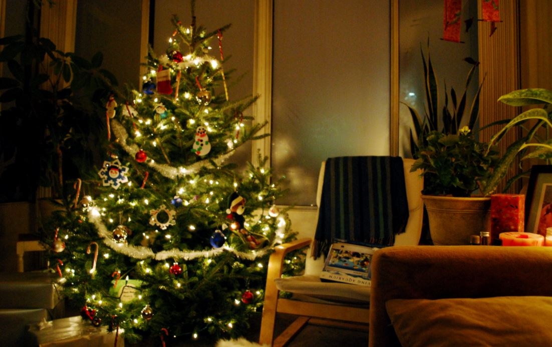 Christmas Tree at Home by Laura LaRose