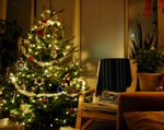 Auto Club: Protect Your Property This Holiday Season