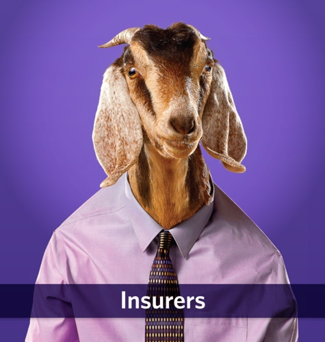 Insurer Print Ad