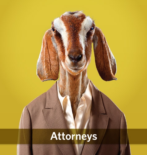 Attorney Print Ad