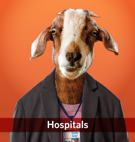 Hospital Print Ad