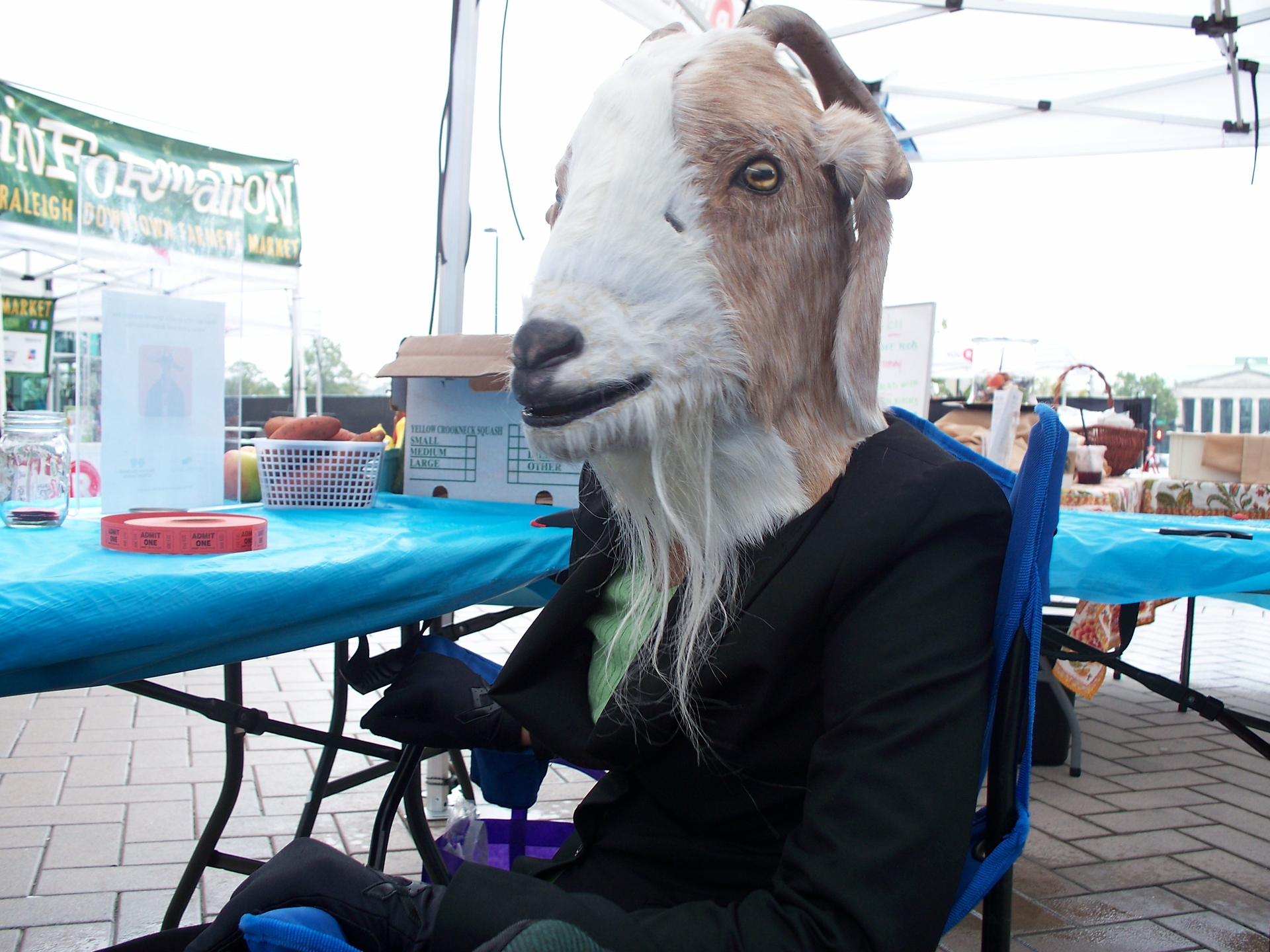 Scapegoat appearance