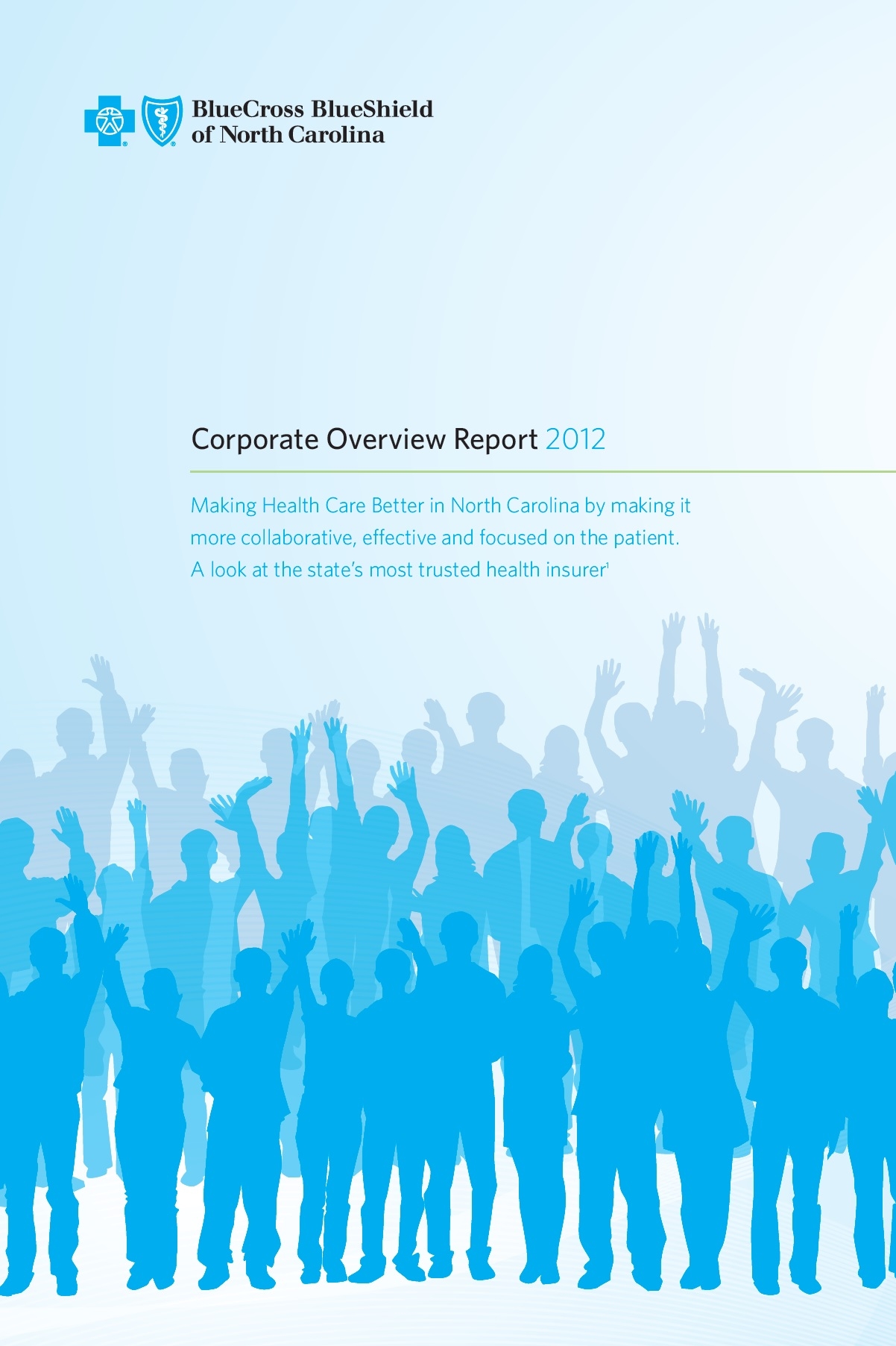 Corporate Overview
