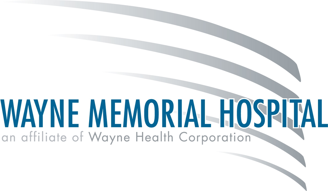 logo color