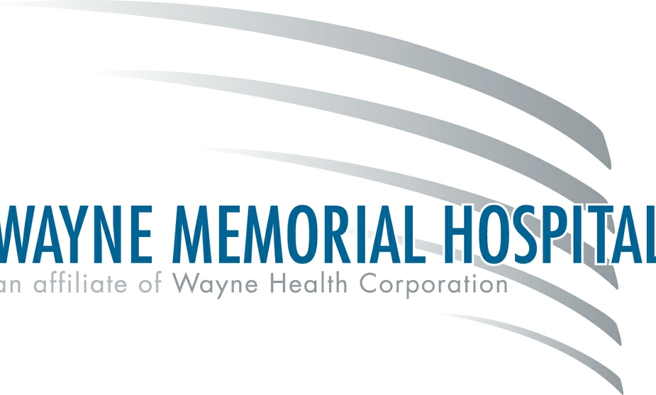 logo color