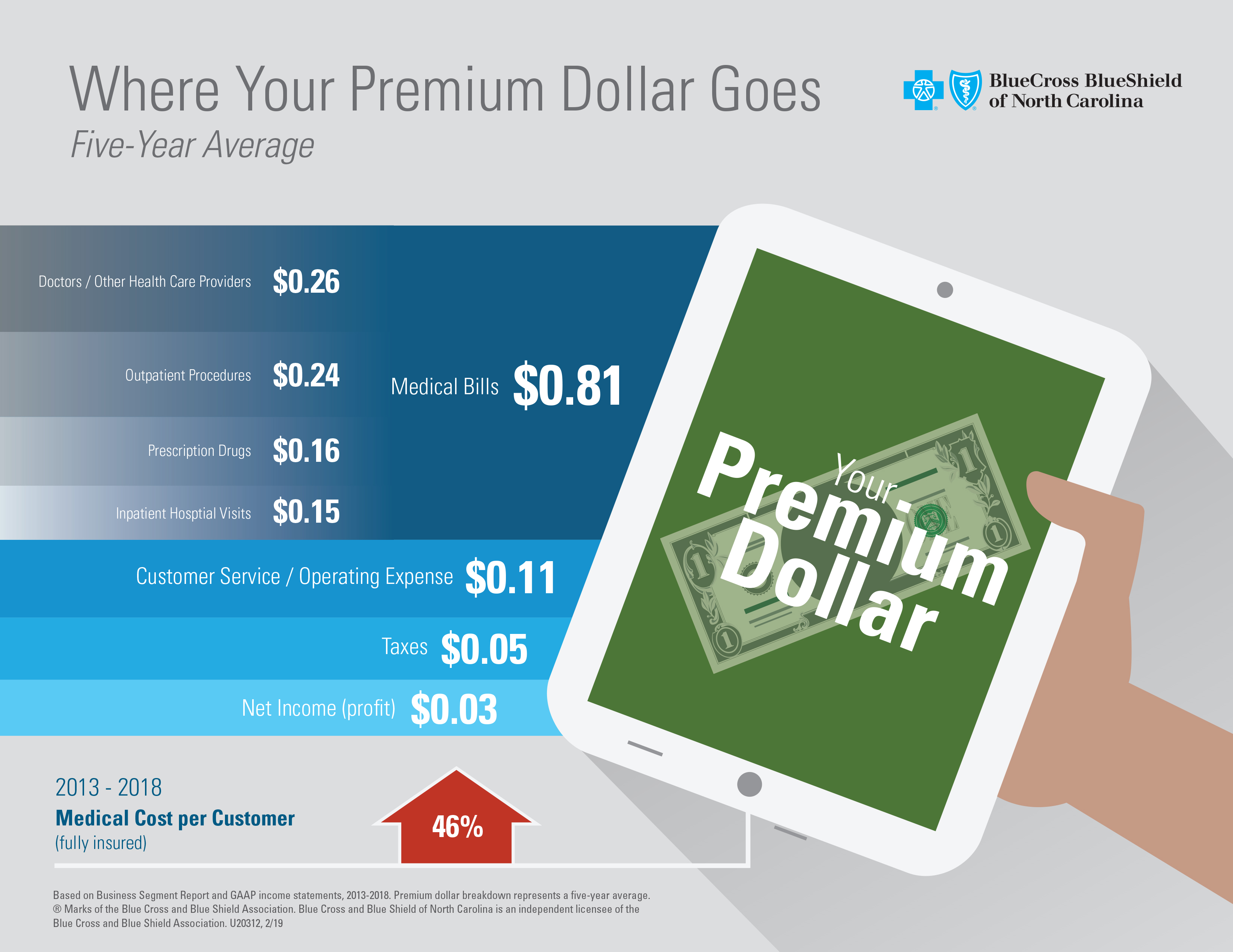 2018 Year-End Financials Briefing - Premium Dollar Breakdown Infographic - FINAL JPEG